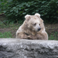 Киевский зоопарк