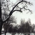 Есть в графском парке черный пруд...