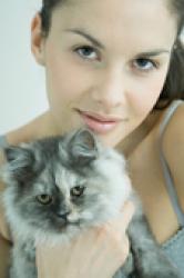 Владельцы кошек реже страдают от сердечных приступов и астмы