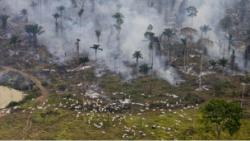 Фото: www.bbc.co.uk