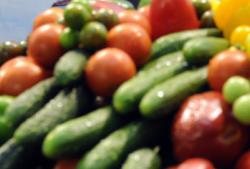 Фото: www.itar-tass.com