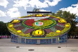В Украине открыты самые большие в мире цветочные часы