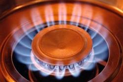Янукович: Люди не должны платить за газ завышенные цены