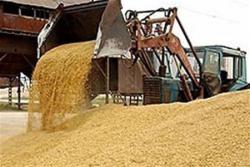 Украина и Россия договорились о новом формате зернового пула