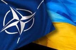 Столтенберг: НАТО готово к дальнейшему активному сотрудничеству по усилению обороноспособности Украины