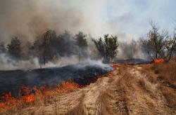 Под Киевом горят более 100 гектаров торфяников