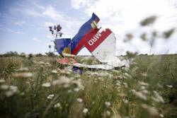Нидерланды рассматривают два варианта суда над виновными в уничтожении рейса MH17 над Донбассом