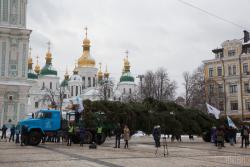 В Киев привезли главную елку Украины 