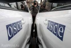 Глава МИД Австрии: ОБСЕ намерена увеличить число наблюдателей в Украине