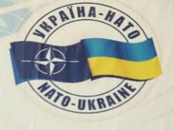Порошенко заявил, что намерен провести референдум о вступлении Украины в НАТО