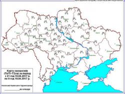 Ночью заморозки охватили большинство территории Украины (карта)