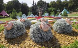 На Певческом поле открылась выставка цветов "Волшебный украинский миф"