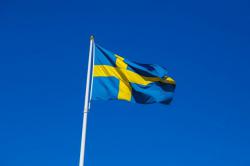 В МИД Швеции прокомментировали обострение ситуации на Луганщине