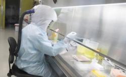 Первые тесты для выявления коронавируса прибыли в Украину