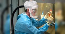 ВОЗ готова предоставить Украине дополнительные тесты на коронавирус