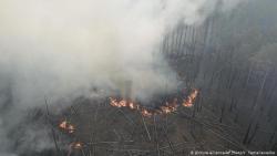 Спасатели продолжают тушить пожары в зоне ЧАЭС и Житомирской области