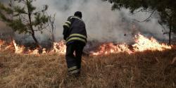 В Киеве и области зафиксировано 37 пожаров за сутки