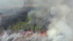 В Чернобыльской зоне продолжают тушить пожар