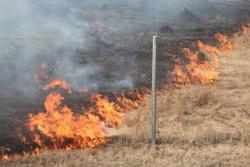 Верховная Рада значительно повысила штраф за поджог травы и лесные пожары