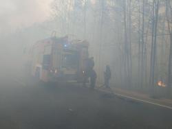 На Житомирщине продолжают тушить лесные пожары