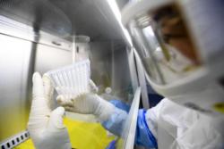Более 120 стран призывают к независимому расследованию происхождения коронавируса