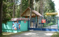 Детские оздоровительные лагеря в Украине закрыты до августа
