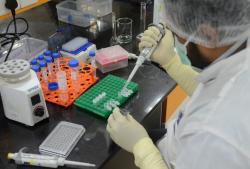В Украине на сегодня делают в 200 раз больше тестов на коронавирус, чем в начале пандемии - Минздрав