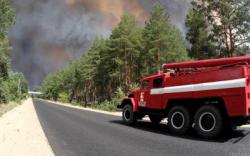 Количество жертв лесных пожаров на Луганщине увеличилось до пяти