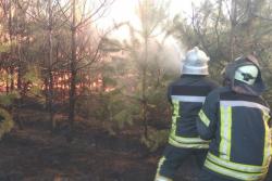 В Луганской области на территории двух лесничеств произошел пожар