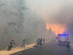 К борьбе с лесным пожаром в Луганской области привлечены подразделения ВСУ, Нацгвардии и дополнительные силы ГСЧС