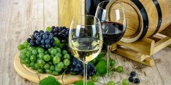 Кабмин учредил в Украине День виноградаря и винодела