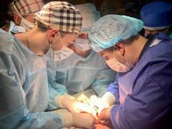 В Минздраве создали подразделение по развитию трансплантологии