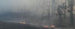 Пожар в Харьковской области локализован