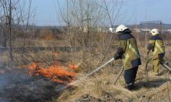 Рада одобрила повышение штрафов за провоцирование лесных пожаров