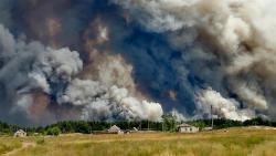 Пожары на Луганщине уничтожили около 19000 гектаров леса и сотни домов