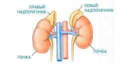 Особенности лапароскопического удаления надпочечников