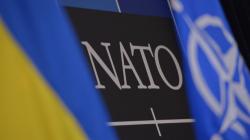 США провели с партнерами по НАТО совещание о ситуации в Украине