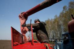 В Украине сокращается сельхозпроизводство - Госстат