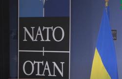 На саммите НАТО будет рассмотрен вопрос Украины