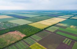 Рынок земли в Украине будет запущен с 1 июля - Минагрополитики
