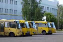 В Киеве уволили всю службу по контролю частных перевозчиков