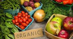 Запуск сертификации органической продукции отложили на три года