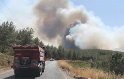 Пожары в Турции угрожают туристам в Мармарисе и Бодруме: идет эвакуация