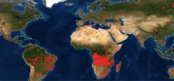 Огонь полыхает на пяти континентах: NASA создало карту пожаров