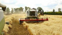В Украине зафиксирован рост в аграрной отрасли