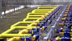 Украина и Германия договорились о совместной работе над созданием водородного коридора