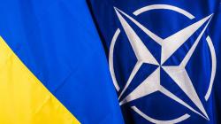 Украина ведет переговоры с членами НАТО об объединении усилий ради безопасности Черного моря