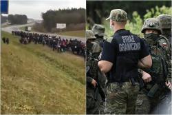 Польша обеспокоена продвижением сотен мигрантов к ее границе