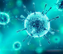 В ВОЗ определили топ-5 самых опасных штаммов коронавируса на сегодня