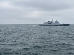 Корабли ВМС Украины и Франции провели совместную тренировку в Черном море